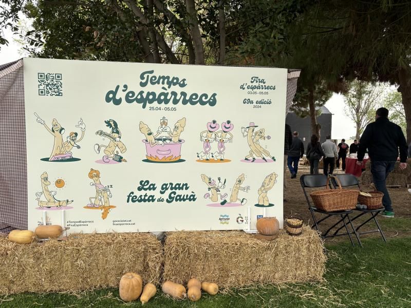 Espàrrecs