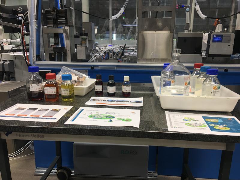 FOTO: Rafel Claramunt