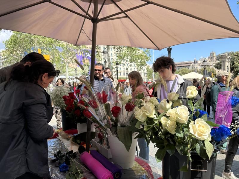 Sant Jordi