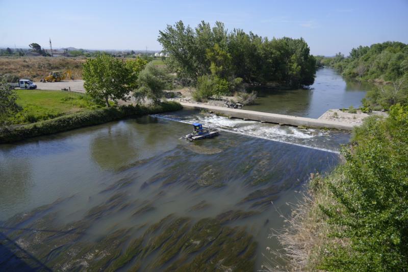 vehículo anfibio algas Lleida