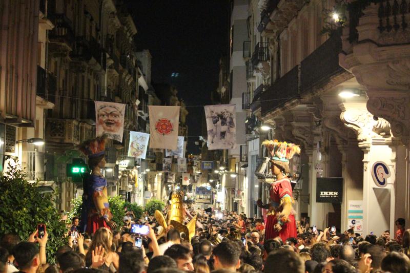 NIT DE FER L'INDIU REUS
