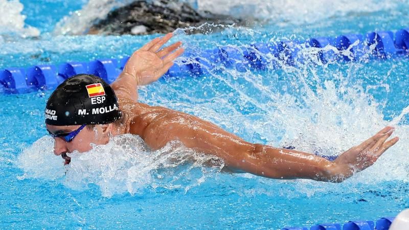 mario mollà