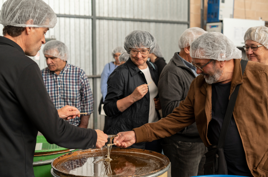 Alemany Os de Balaguer