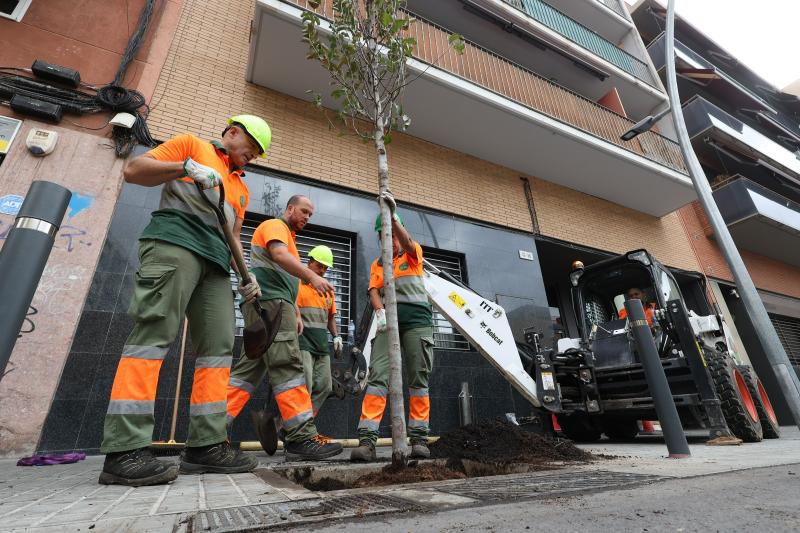 hospitalet plantada abres