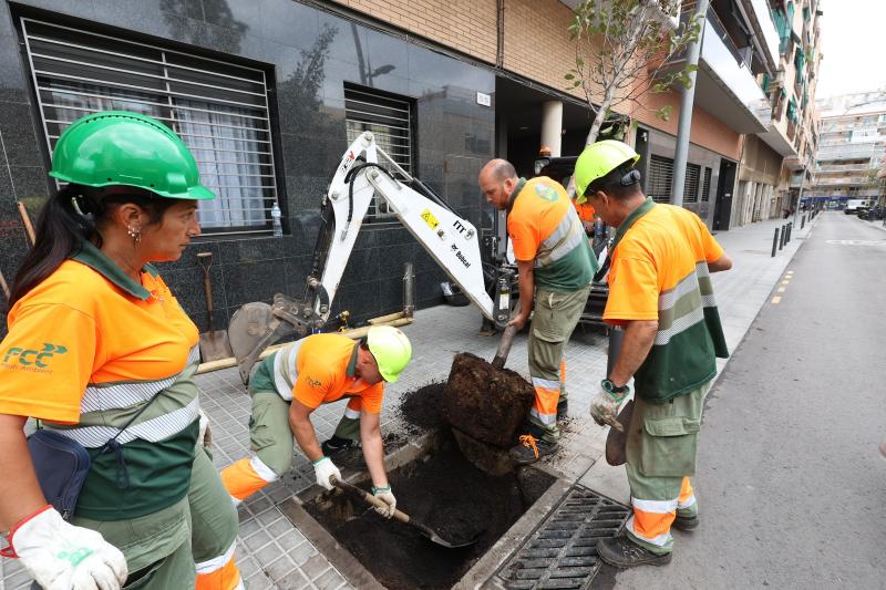hospitalet plantada abres