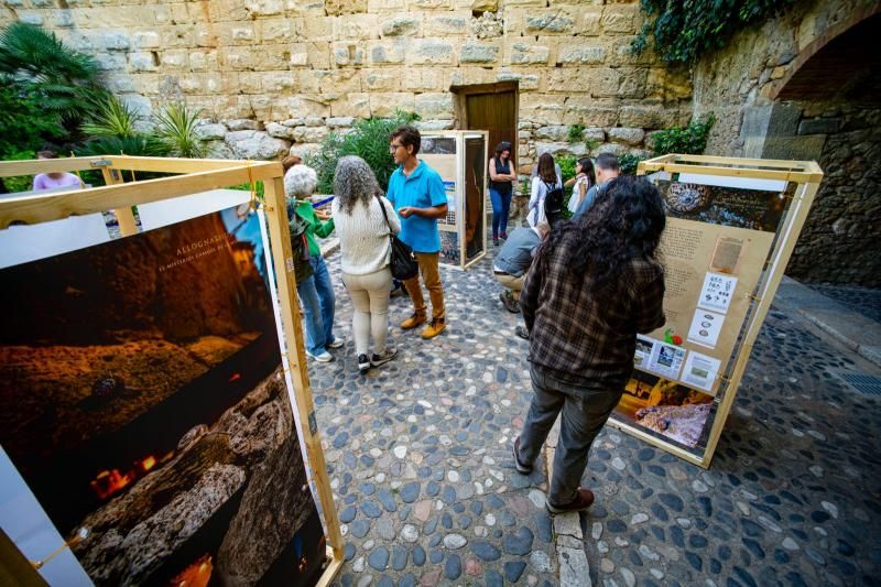 BiodiversidadUrbana