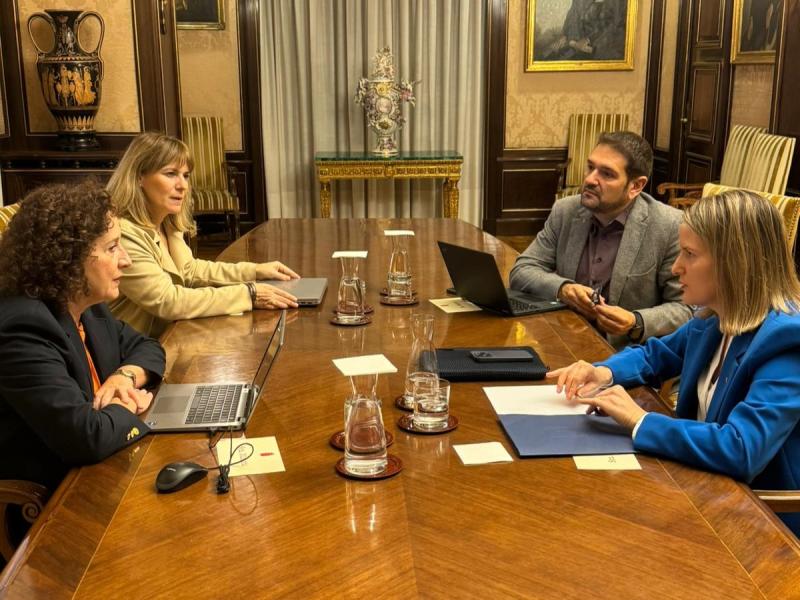 Comisión de seguimiento del IMV