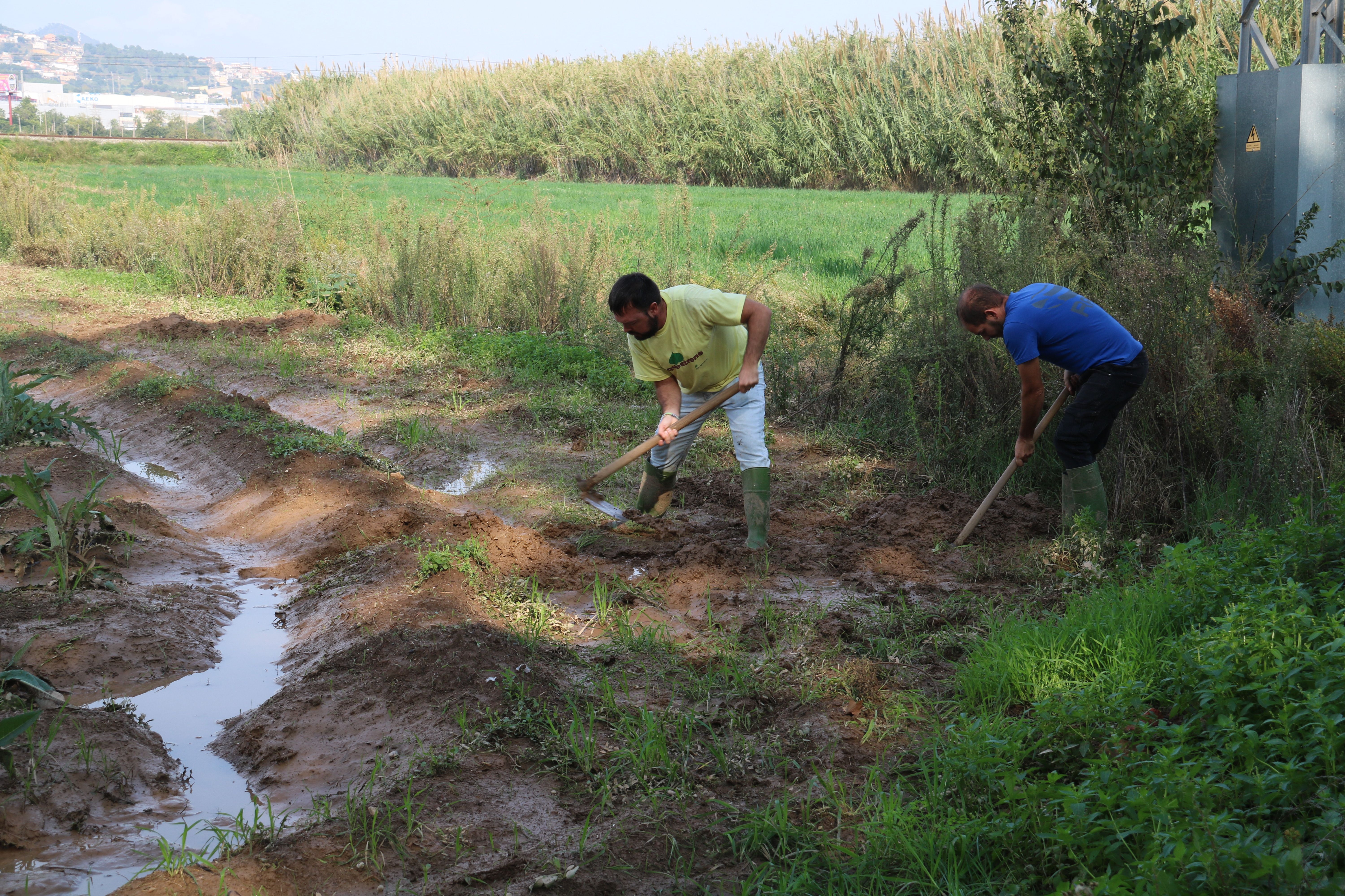 Dos campesinos hacen una zanja para sacar el agua de sus campos a Gavà