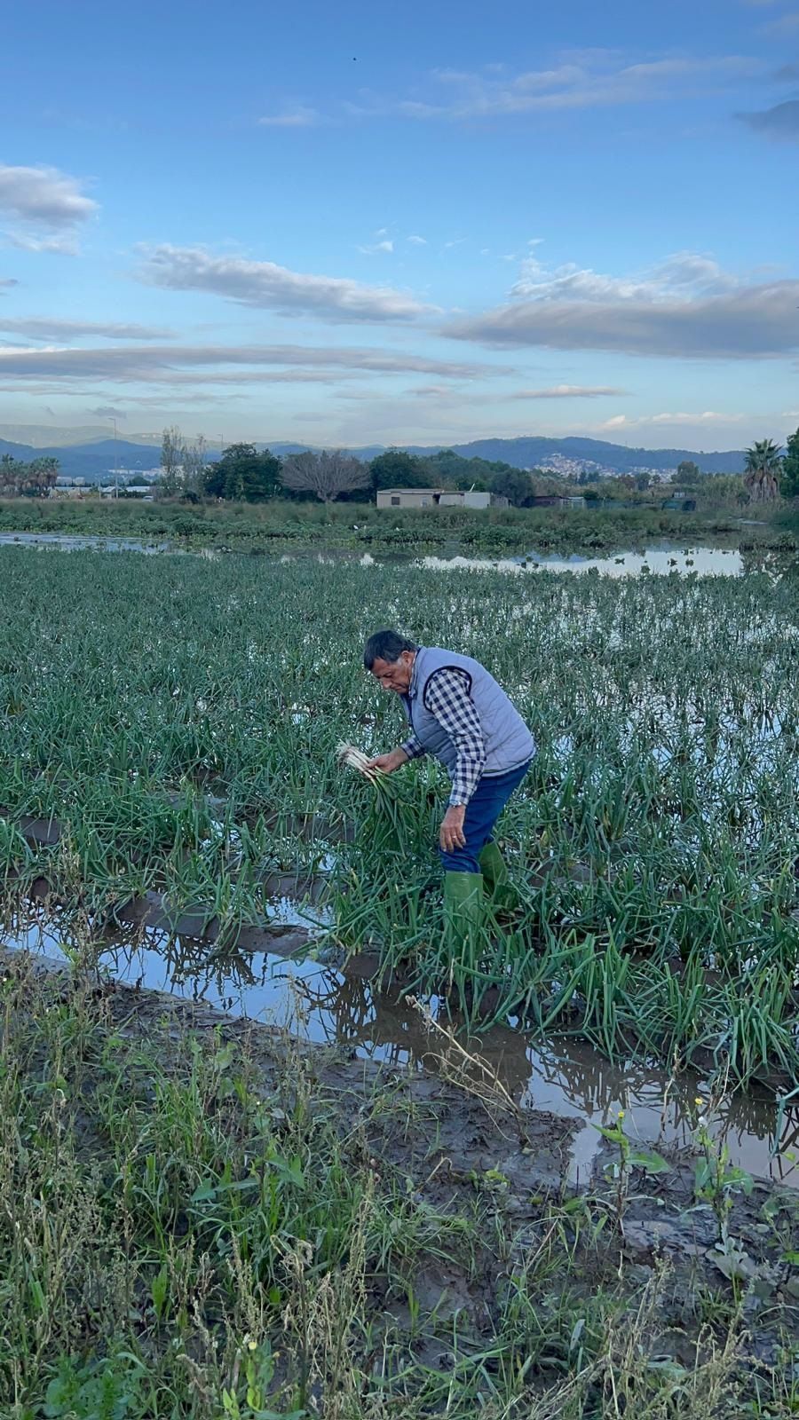 Campos inundados en Gavà