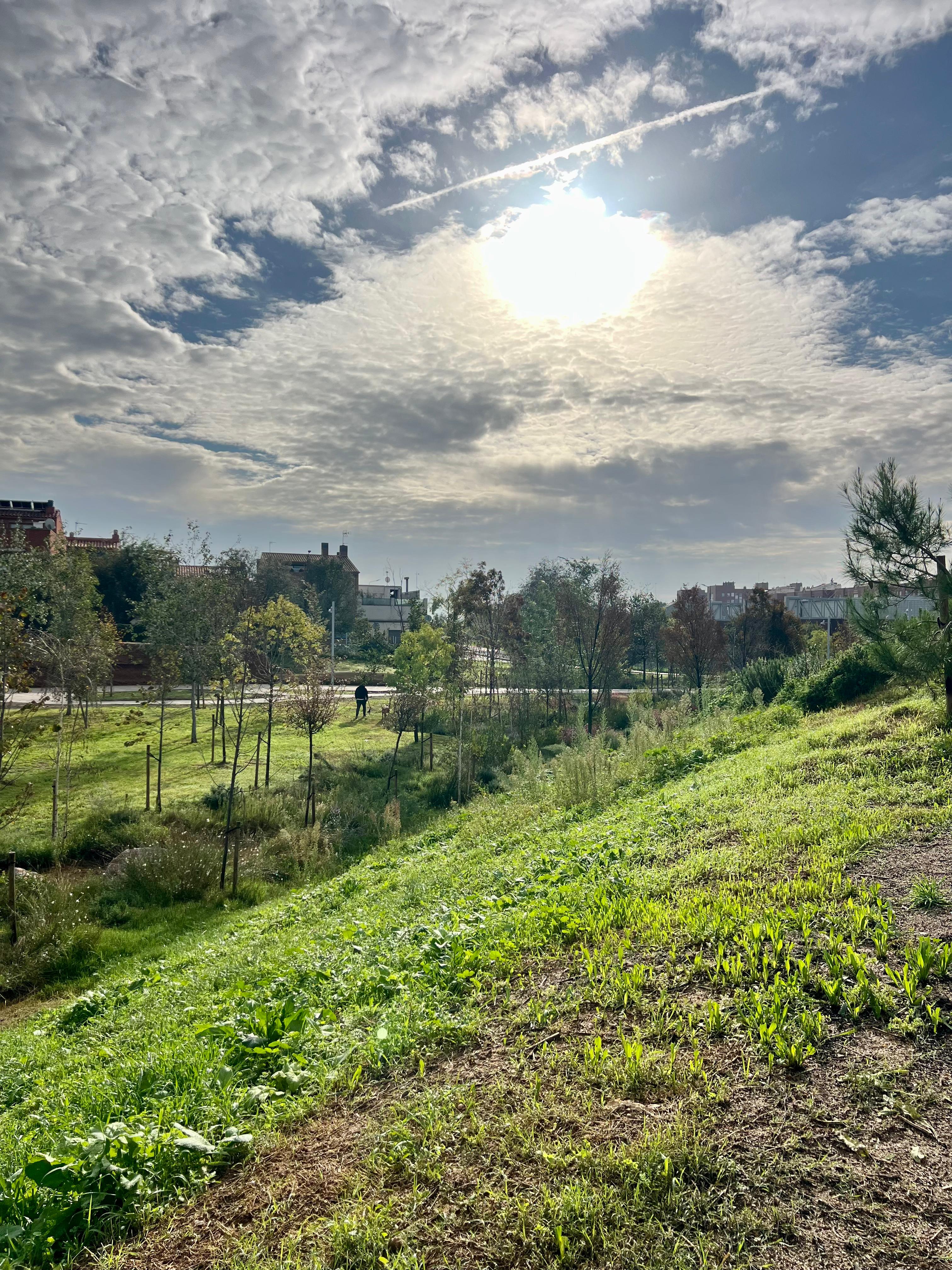 Parc del Nord de Sabadell