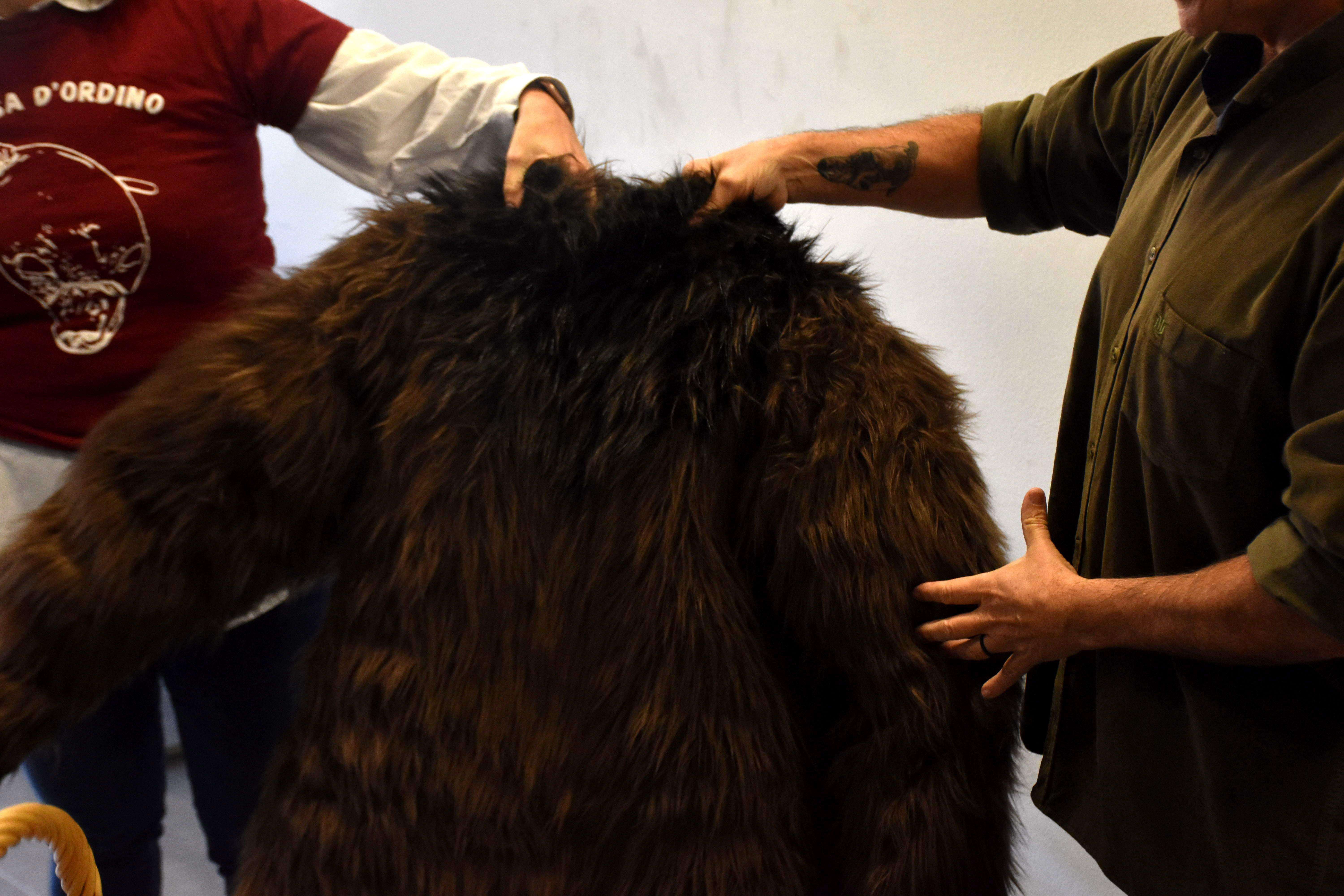 La part de dalt de la disfressa de l'ossa