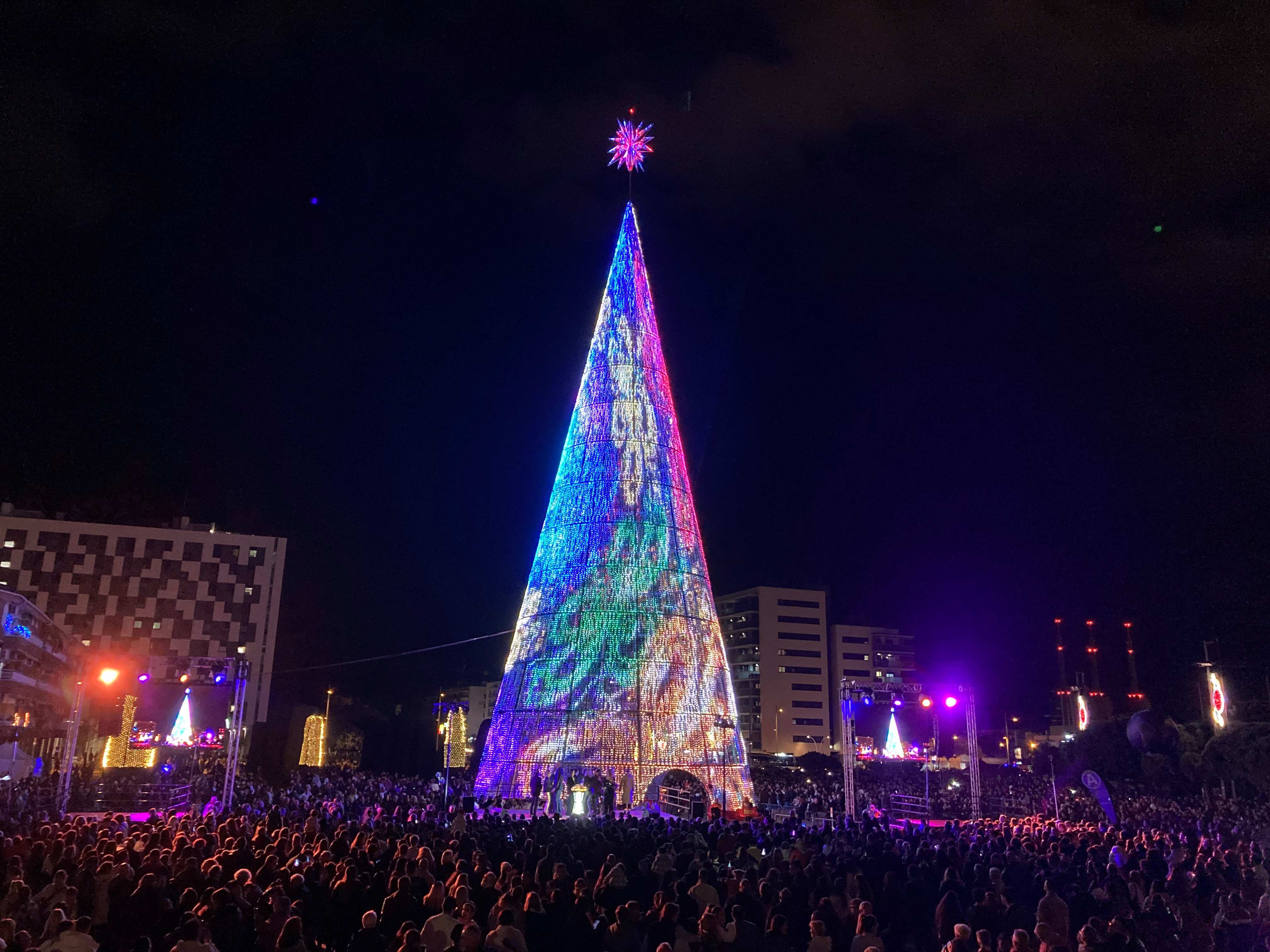 Arbre Badalona_2024 6