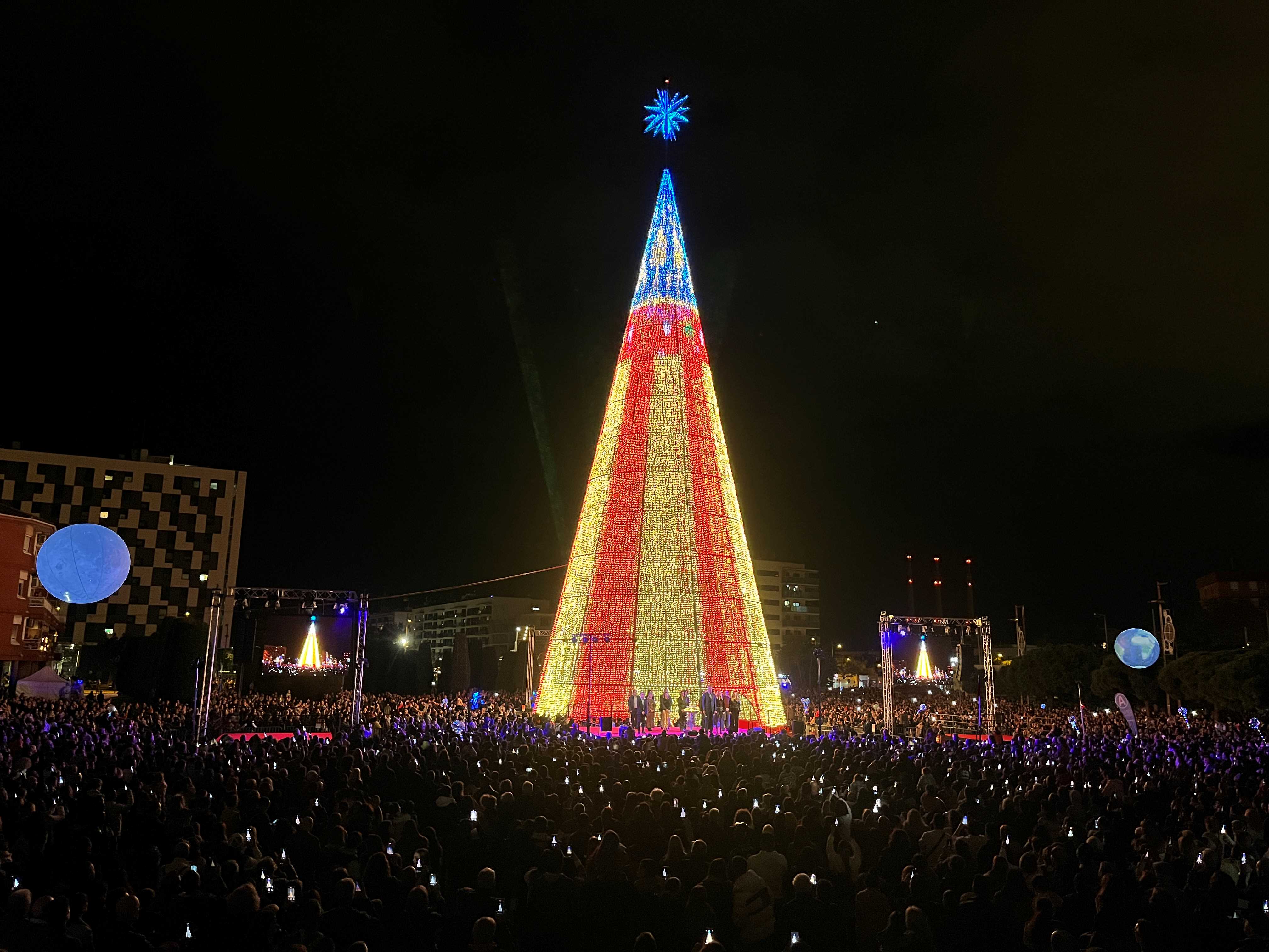 Arbre Badalona_2024 5