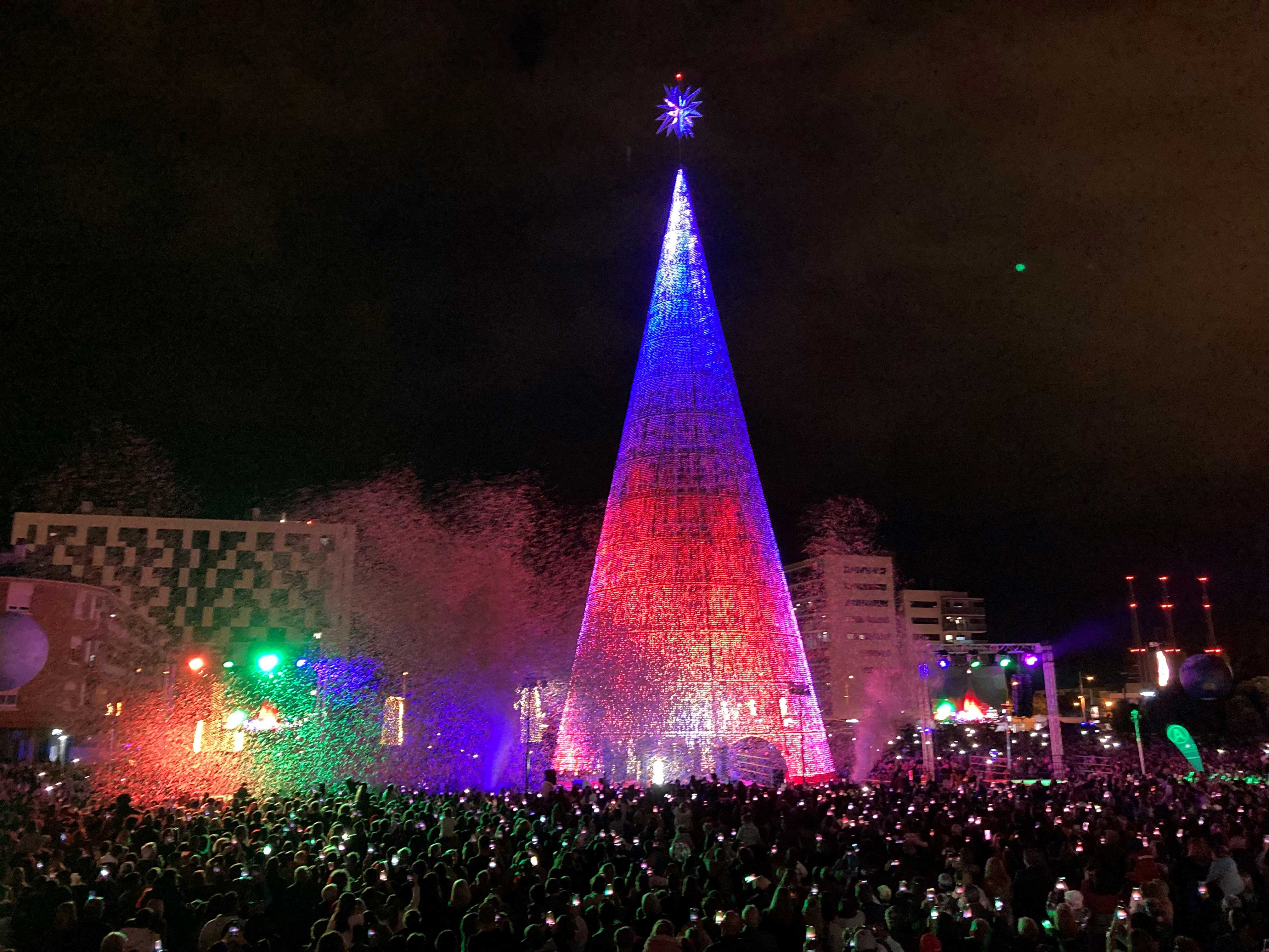 Arbre Badalona_2024 4