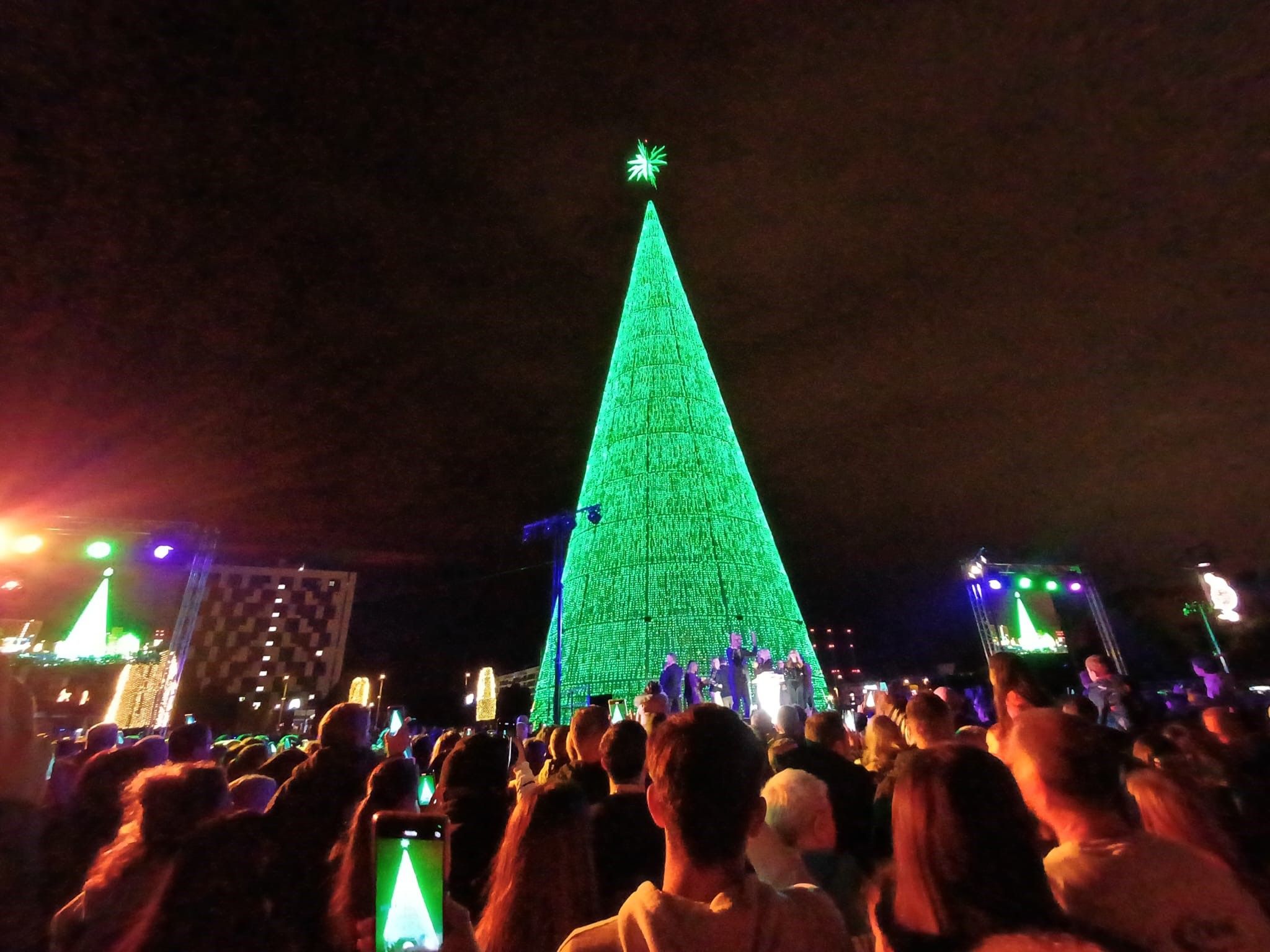 Arbre Badalona_2024 3
