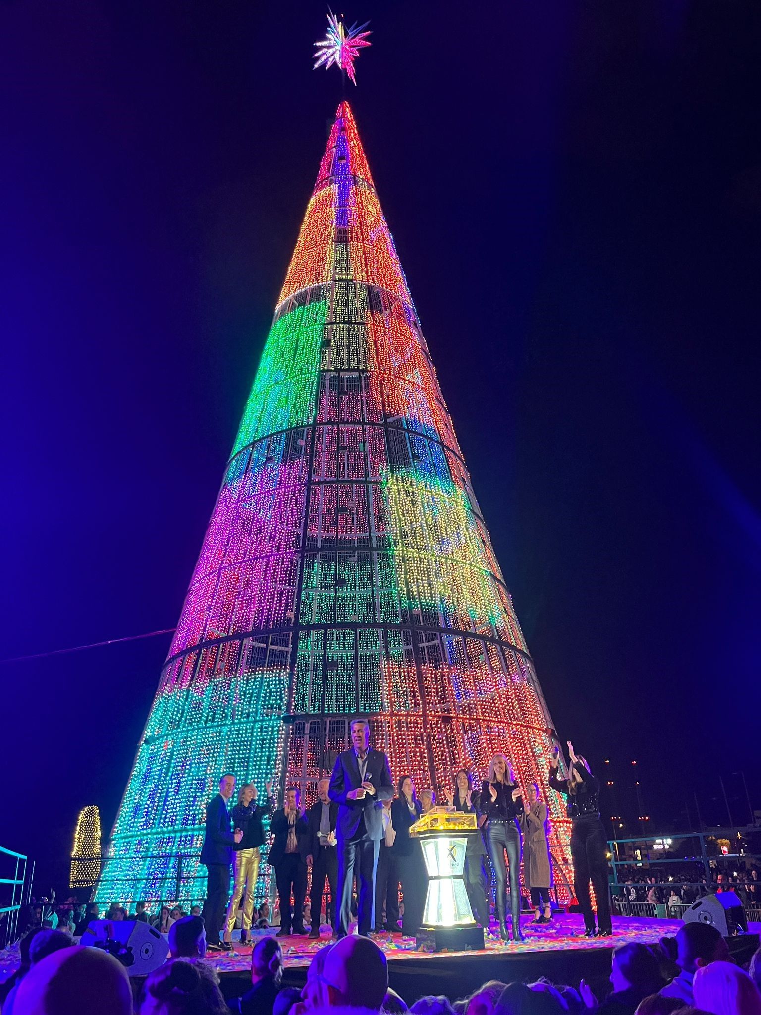 Arbre Badalona_2024 2