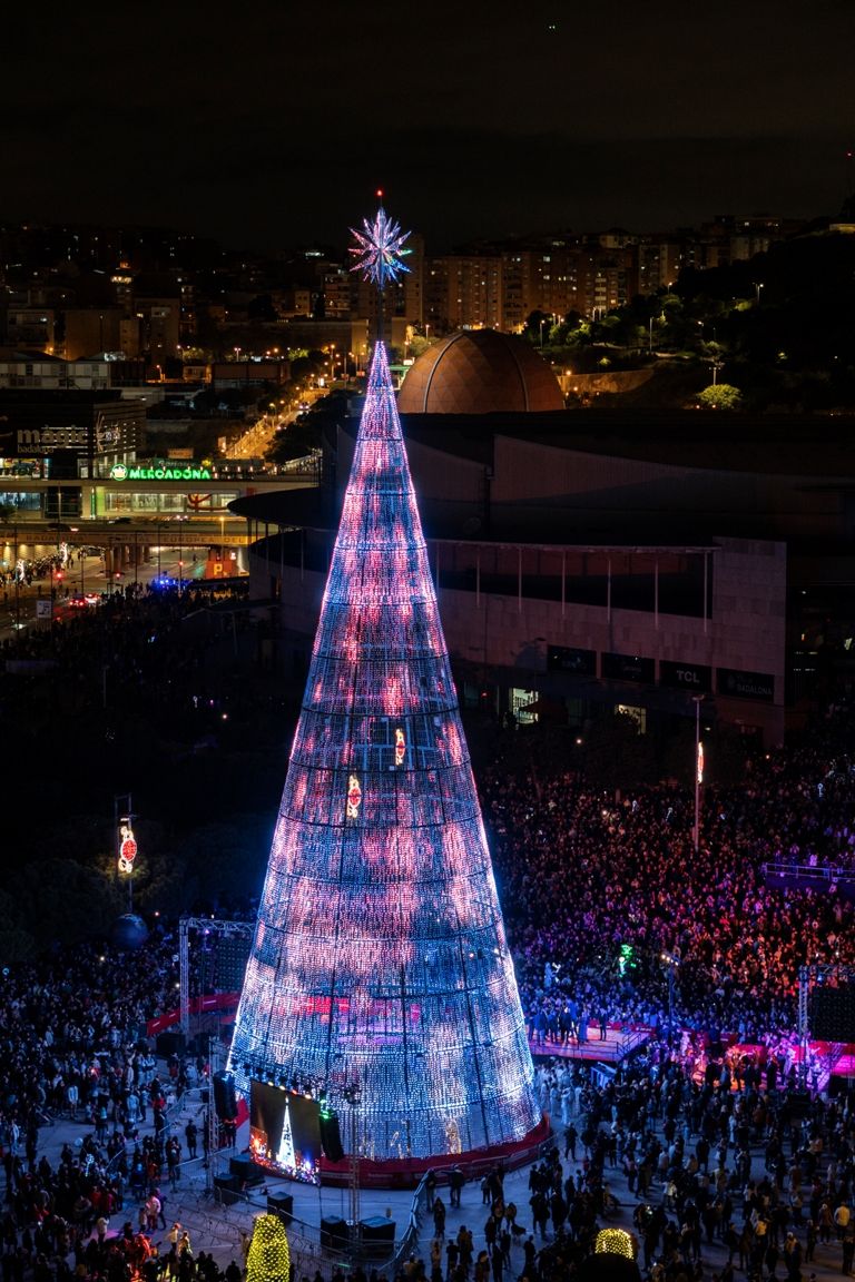 Arbre Badalona_2024
