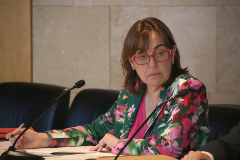 Sílvia Paneque, portaveu de Territori i Habitatge