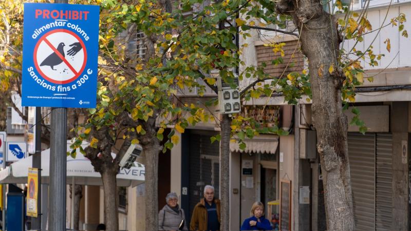 Prohibit alimentar coloms cartell Sant Boi