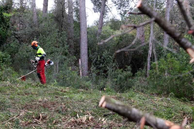 L’AMB inicia la neteja dels boscos a les urbanitzacions per reduir el risc d’incendi