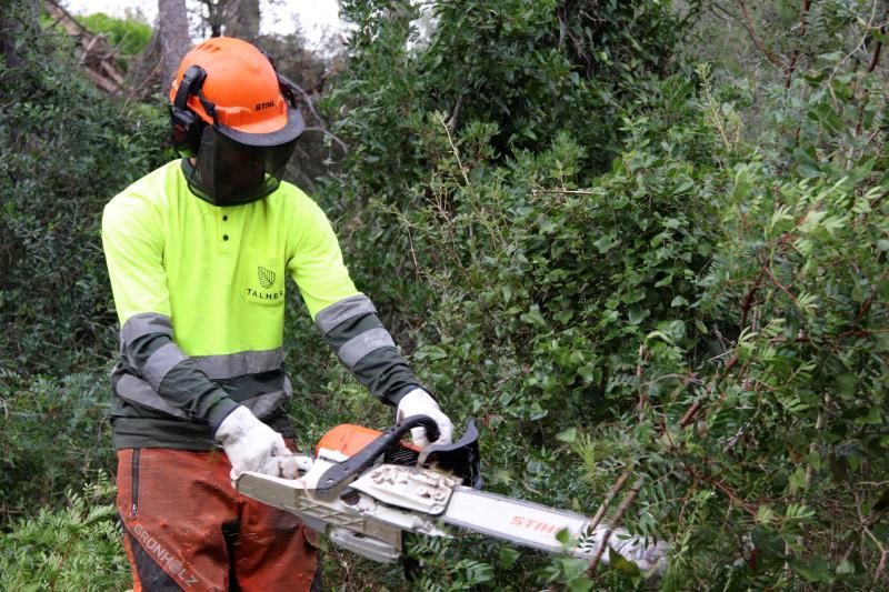 L’AMB inicia la neteja dels boscos a les urbanitzacions per reduir el risc d’incendi