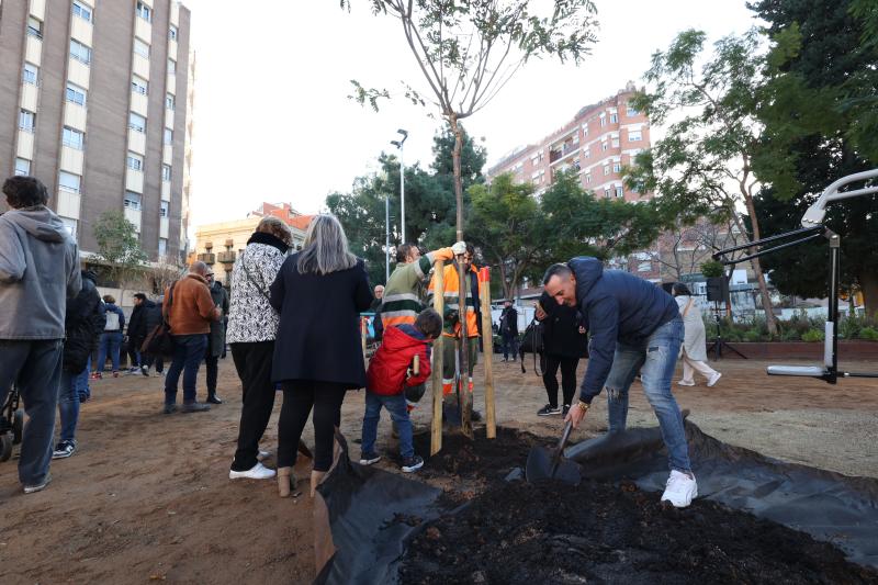 Plantació col·laborativa illa verda Santa Eulàlia 3