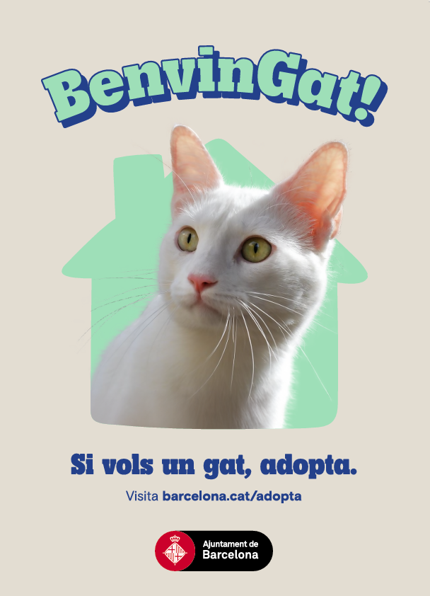 benvingat