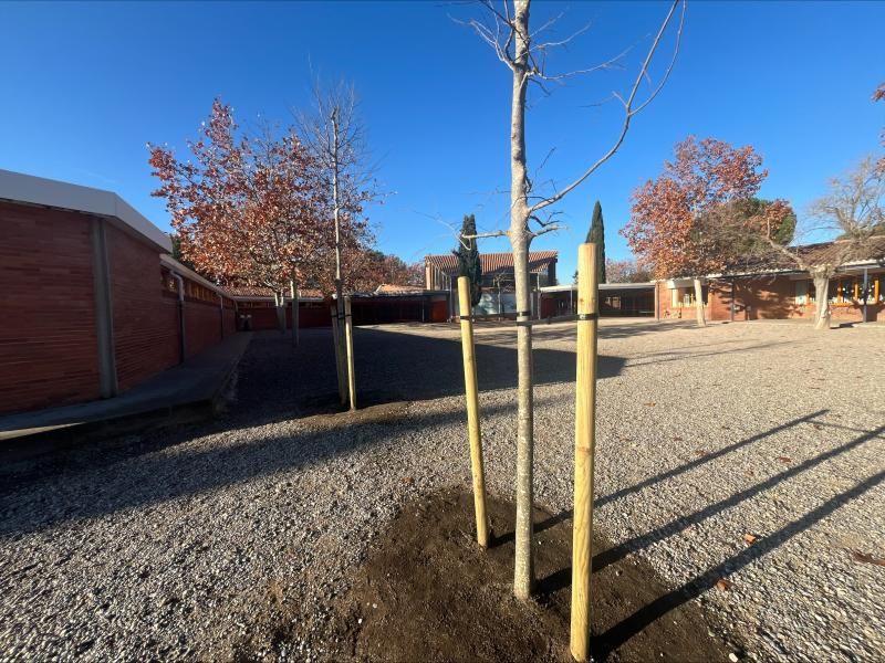 refugi climatic igualada
