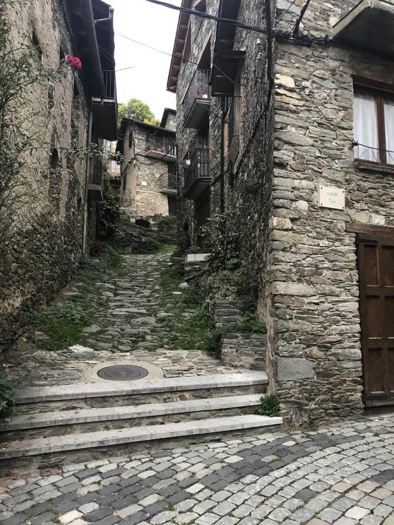 Carrer empedrat a Queralbs