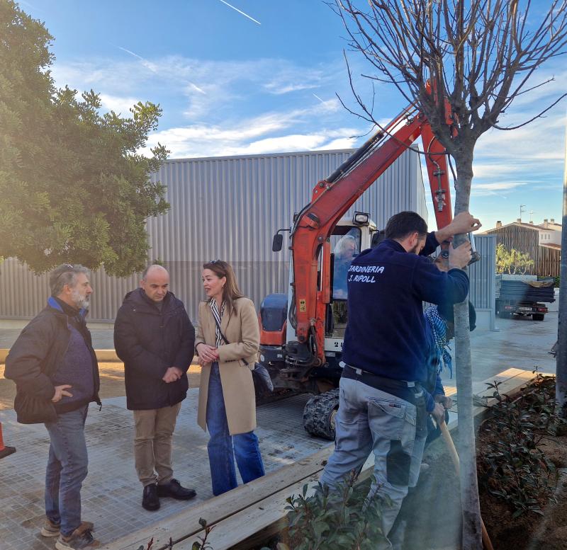Plantada arbres
