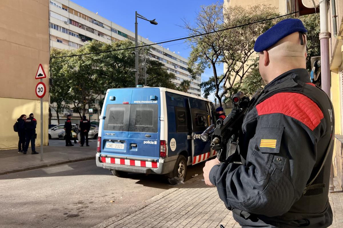 mossos mina
