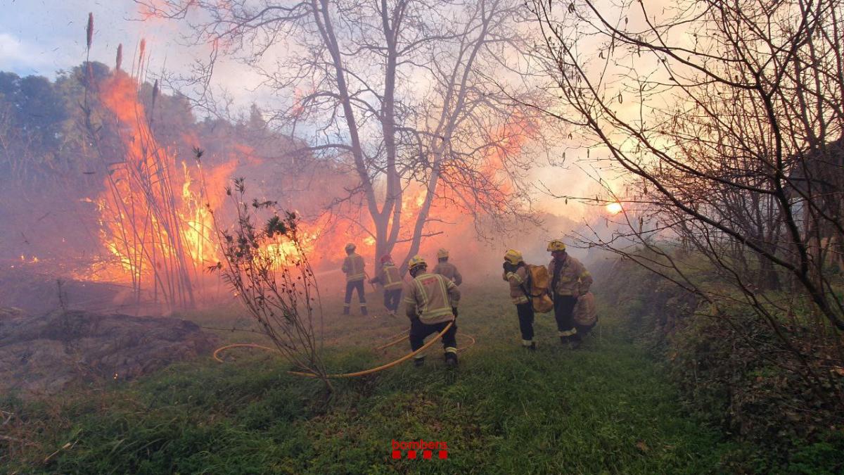 Incendi a la riera de Riudecanyes 2