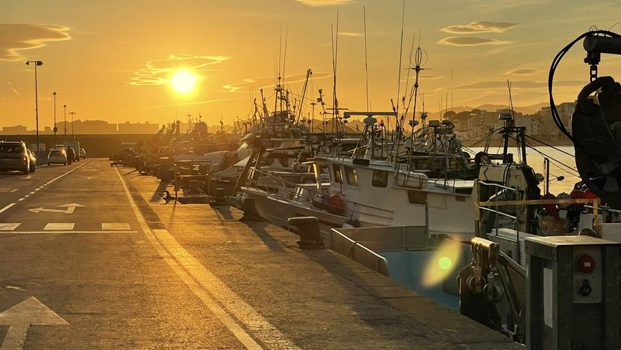 Port de Blanes