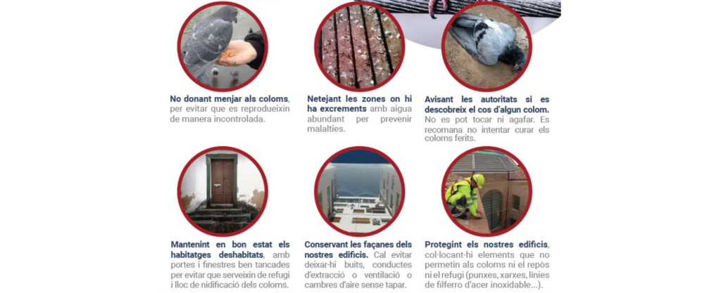 Campanya de coloms a Sant Just Desvern