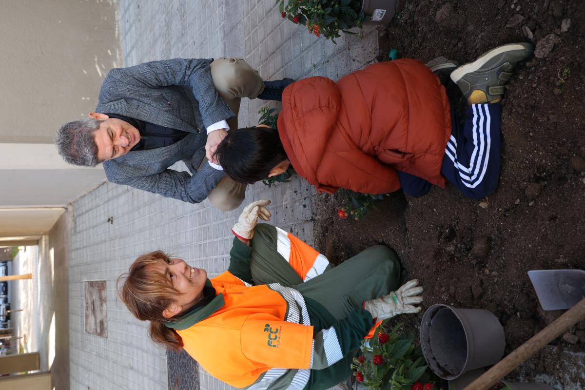 Plantació l'Hospitalet