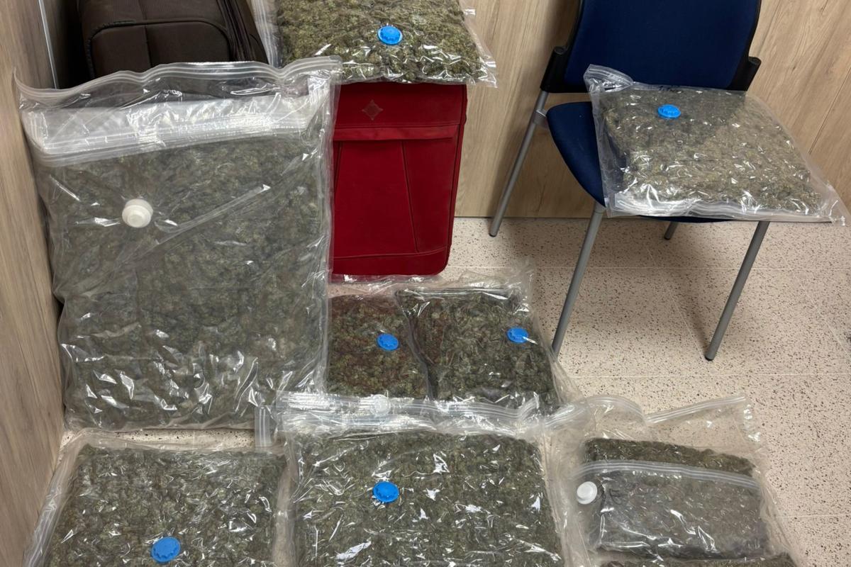 Marihuana incautada a la Jonquera