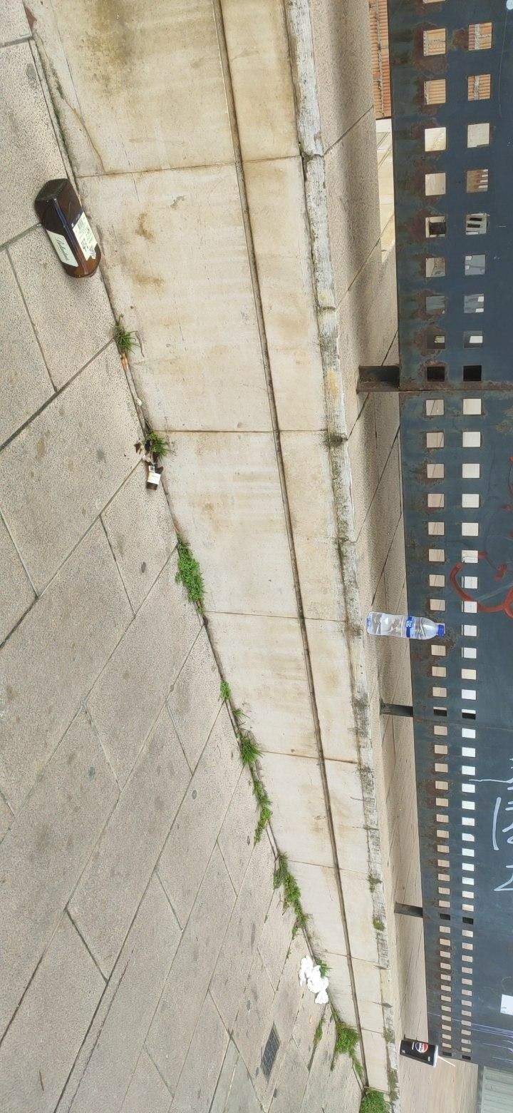 suciedad Cappont Illa de l'Oci