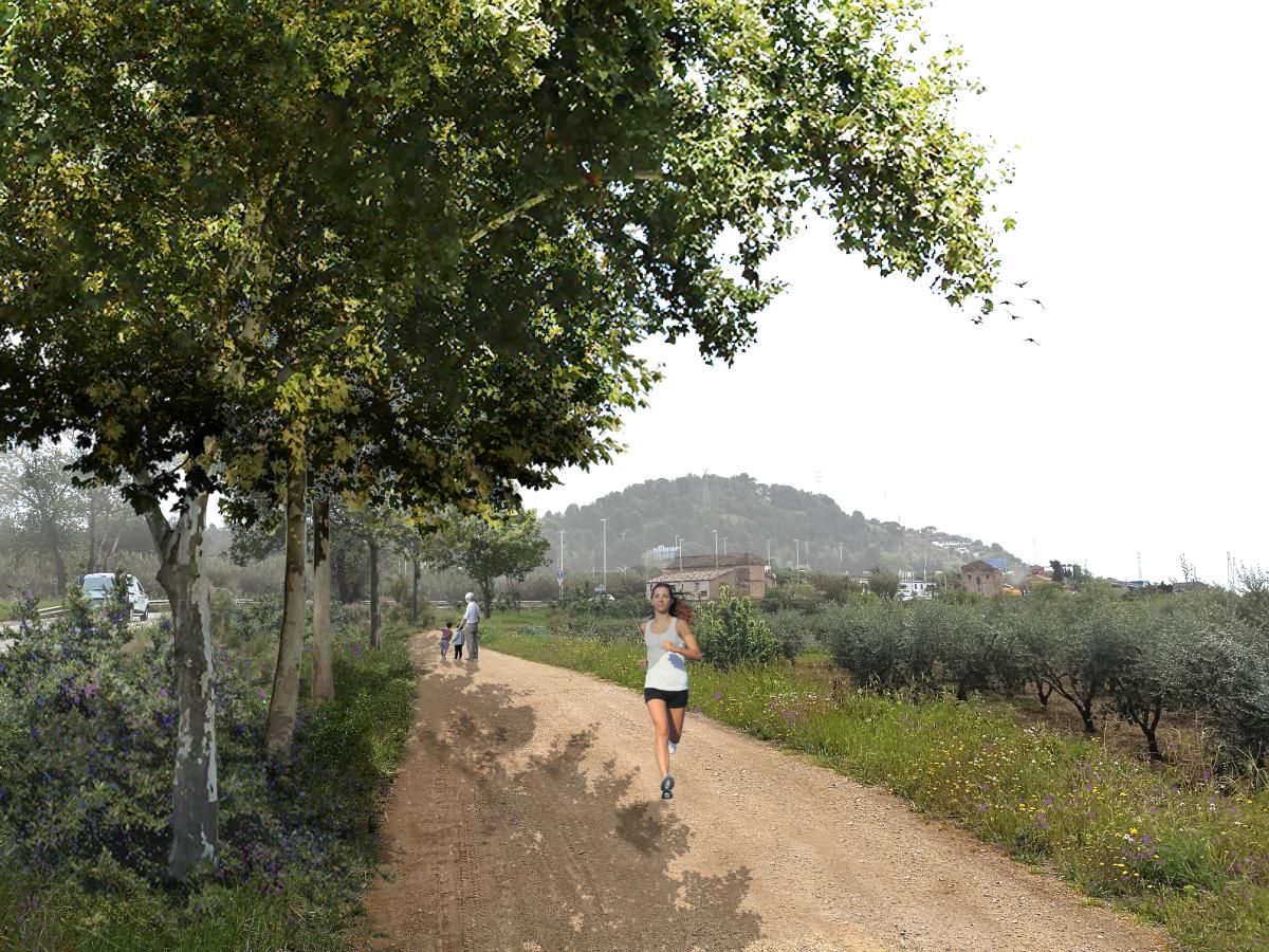 camí oliveres pr