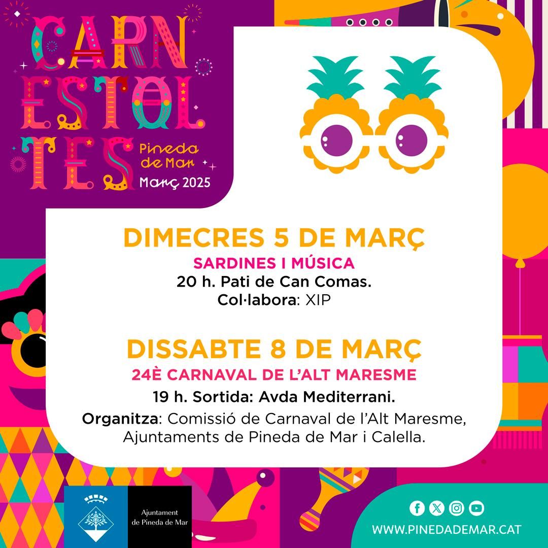 carnestoltes la pineda 3