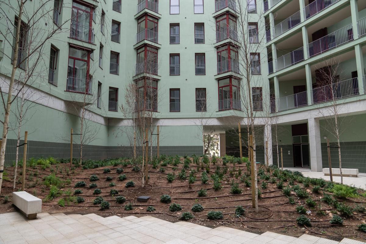 manzana glories patio