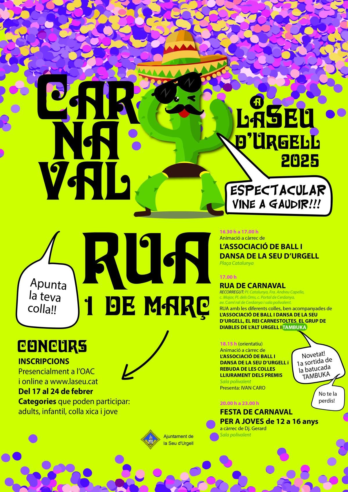 Rua Carnaval 2025 la Seu d'Urgell
