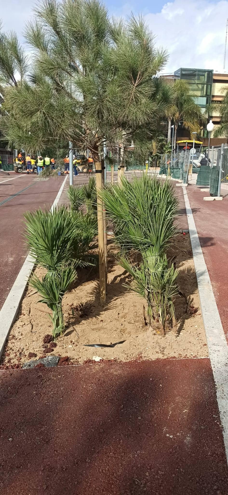 Obras de peatonalización de la calle Carles Buïgas de Salou 6