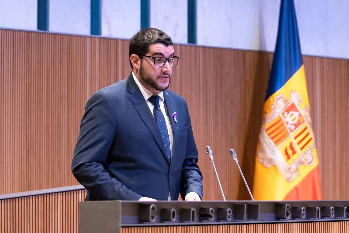 El conseller general del Partit Socialdemòcrata, Pere Baró