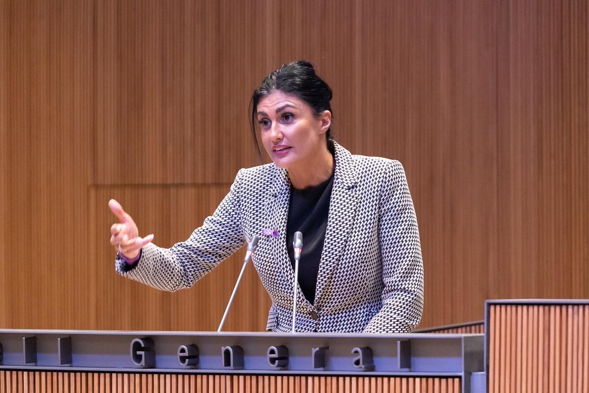La presidenta del grup parlamentari d'Andorra Endavant, Carine Montaner