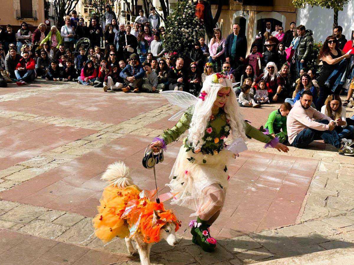 Mascotes disfressades Carnaval 2025 Torredembarra