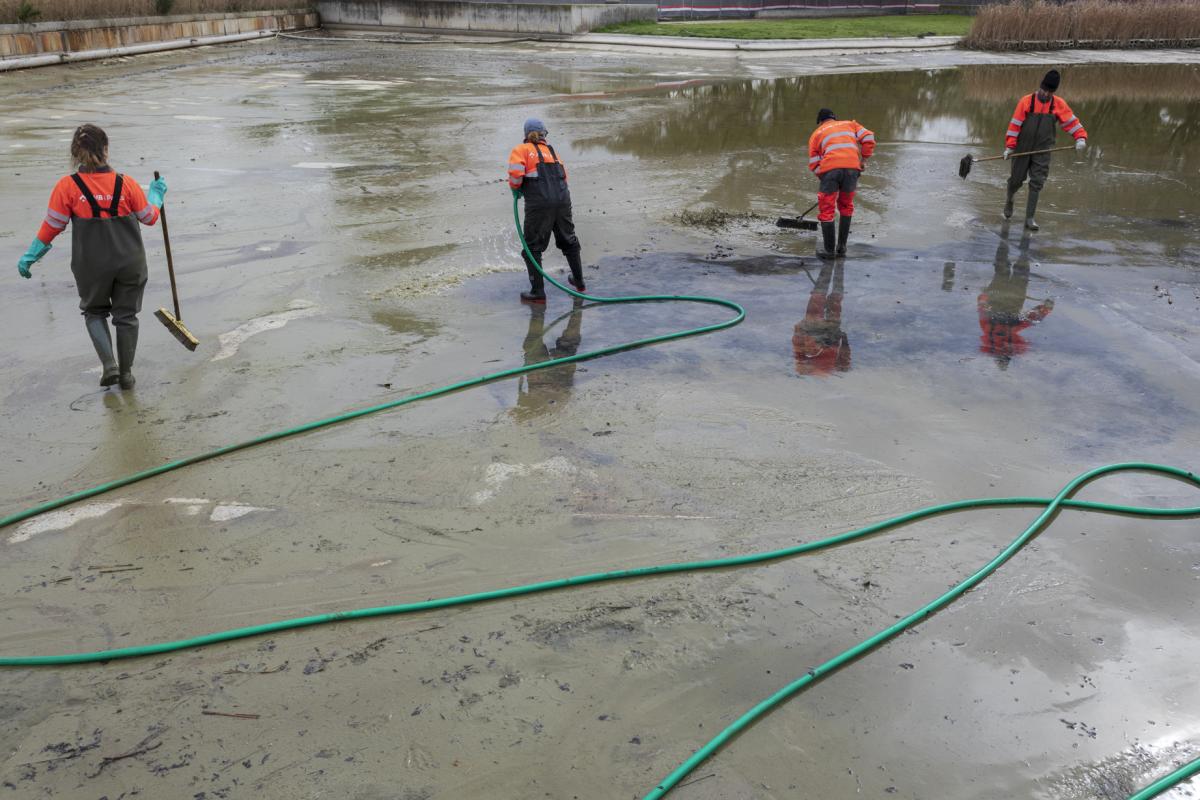 Renovació del Llac de Can Zam 1
