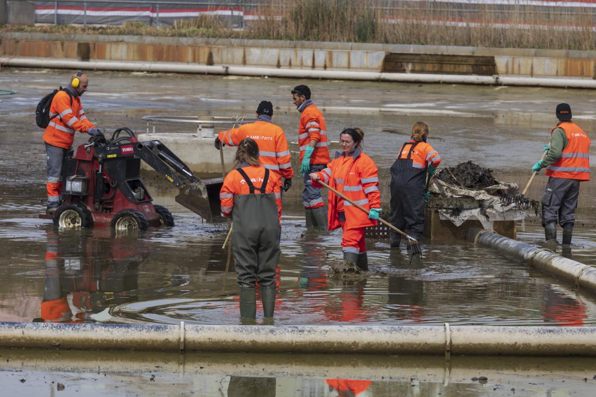 Renovació del Llac de Can Zam 1