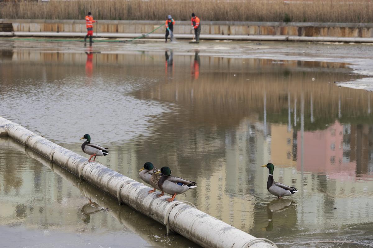 Renovació del Llac de Can Zam 1