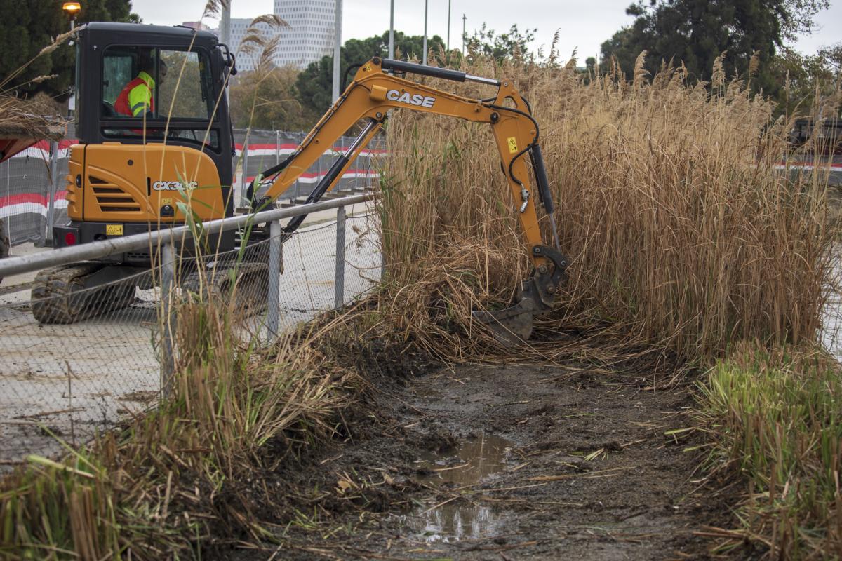 Renovació del Llac de Can Zam 1