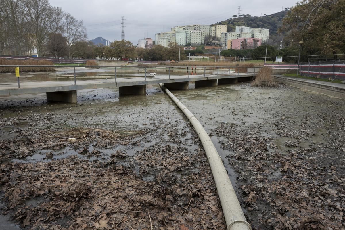 Renovació del Llac de Can Zam 1